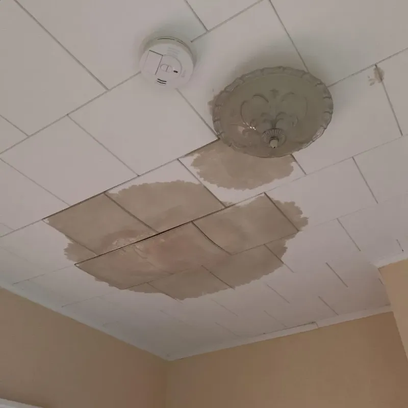 Ceiling Water Damage Repair in Los Indios, TX