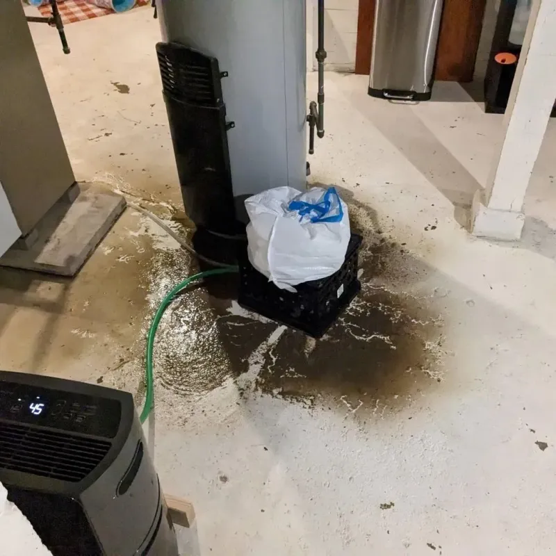 Sewage Backup Cleanup Service in Los Indios, TX